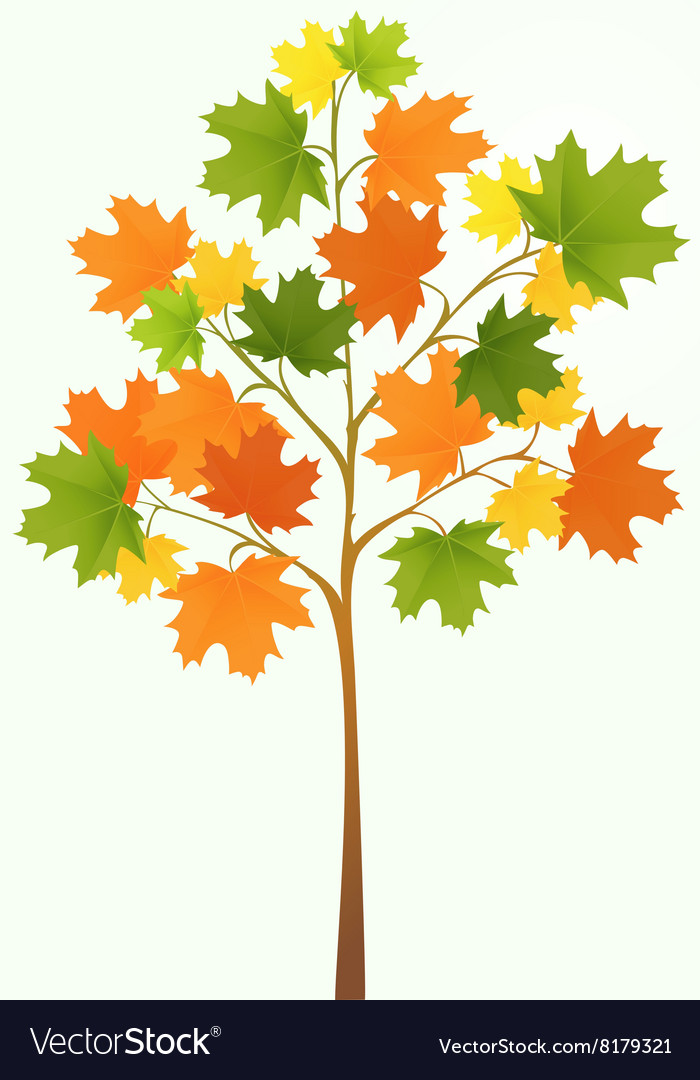 Tree Royalty Free Vector Image - VectorStock