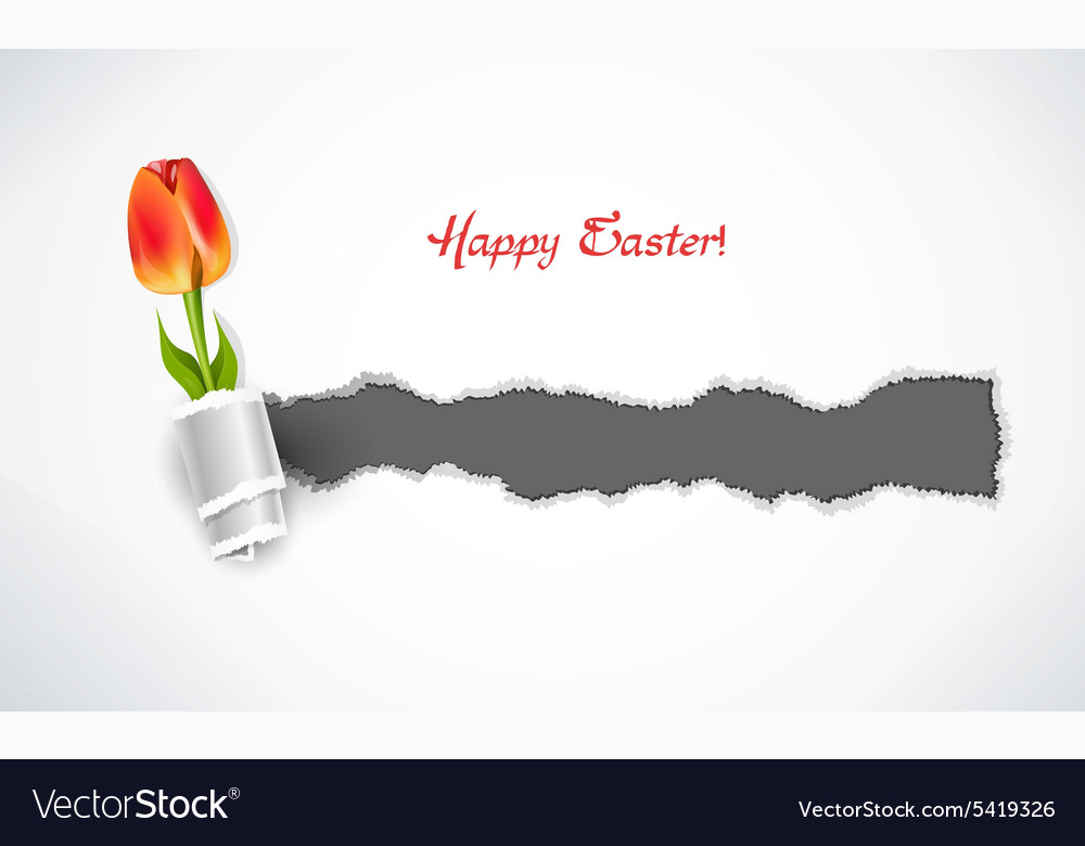 Spring background