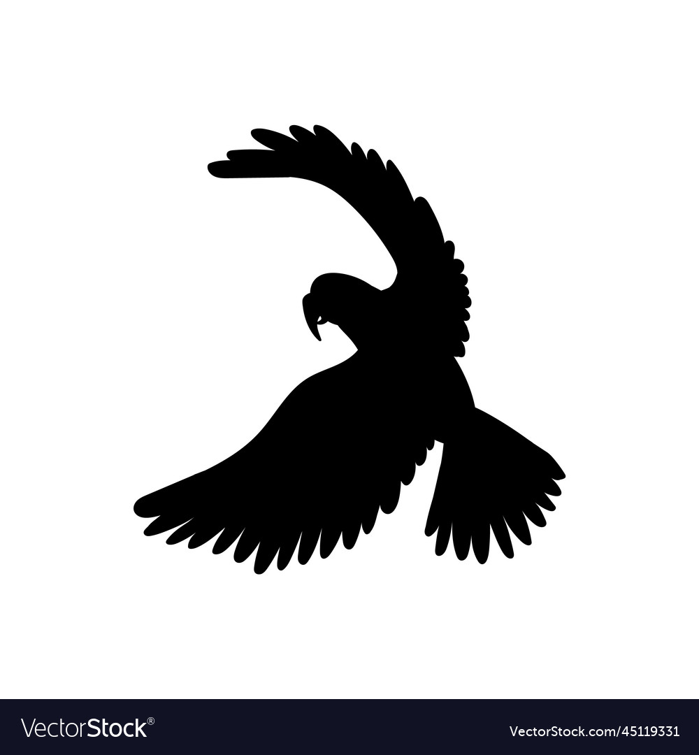 Flying parrot bird black contour silhouette flat Vector Image