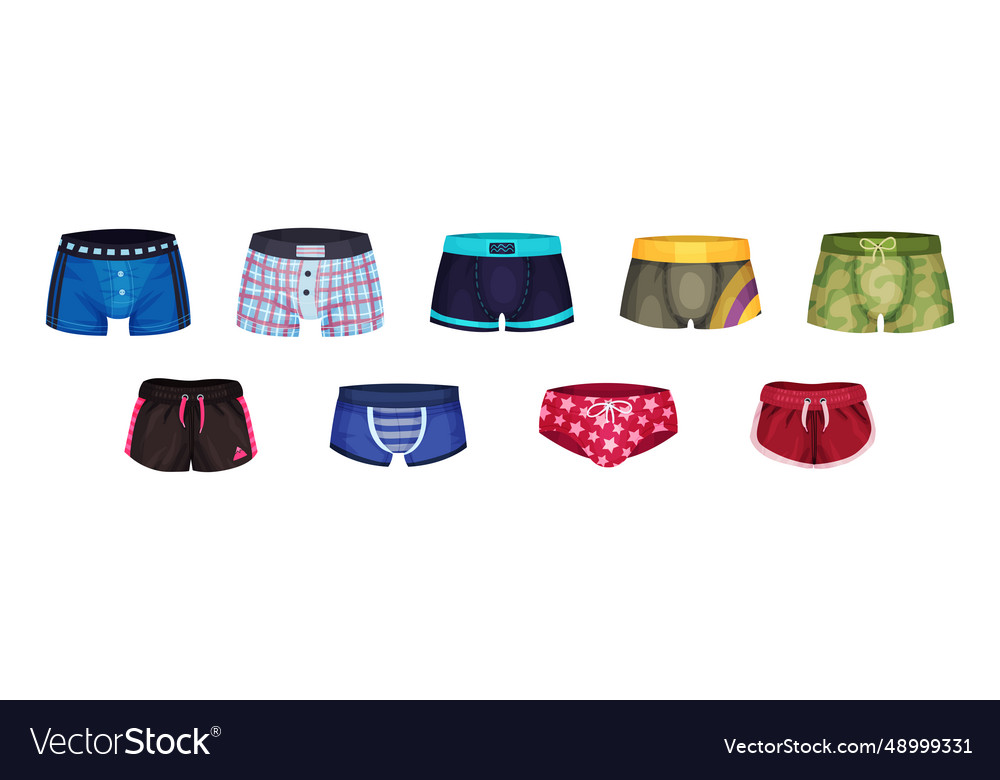 Man shorts and swimming trunks as underwear and Vector Image