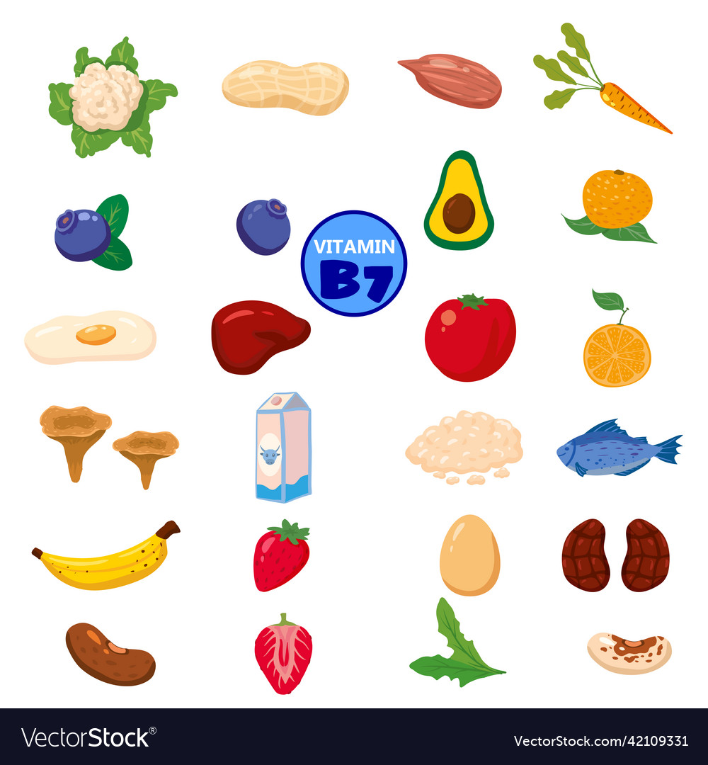 Set Of Vitamin B7 Origin Natural Sources Healthy Vector Image