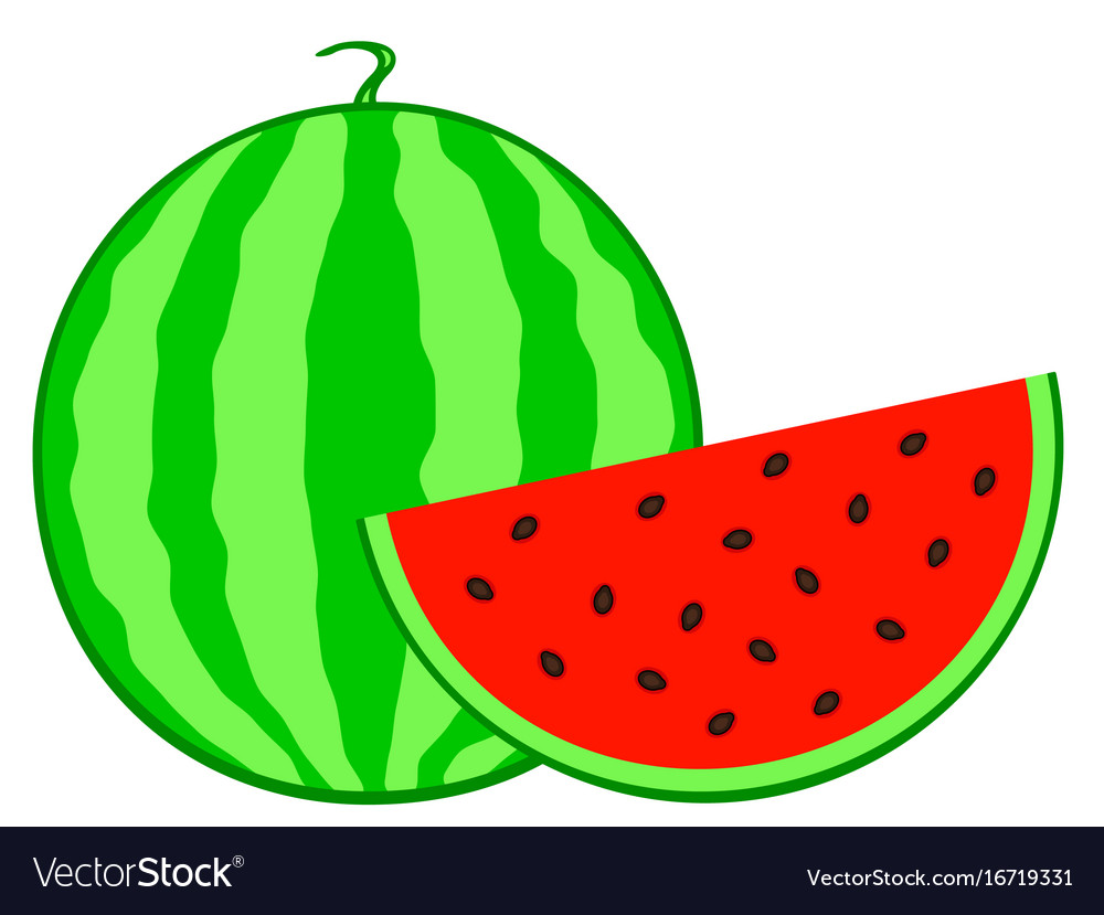 Watermelon fruit icon Royalty Free Vector Image