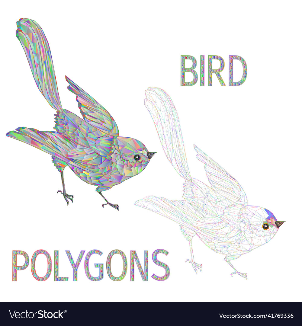 Bird polygons multicoloured and outline