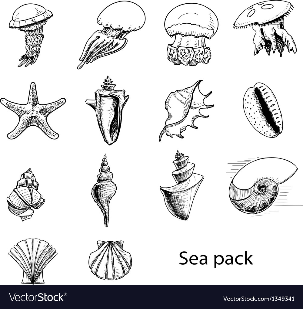 Collection of sea animals and shells Royalty Free Vector Collection of sea animals and shells Royalty Free Vector