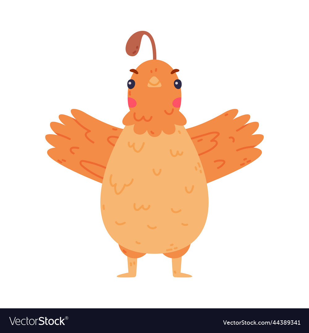 Quail bird with crest and feathers standing