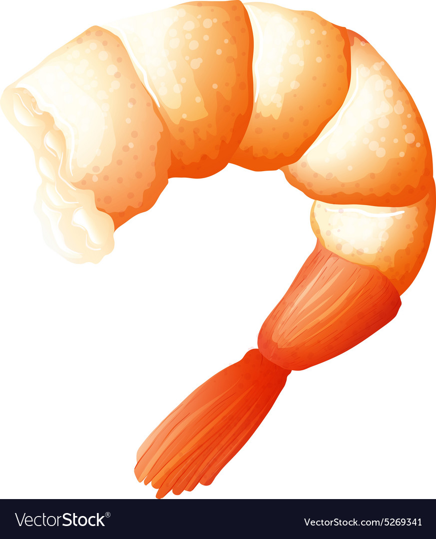 Shrimp tail on white