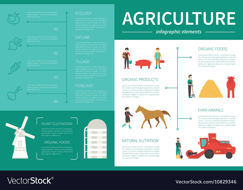 Agriculture Infographic Flat Royalty Free Vector Image