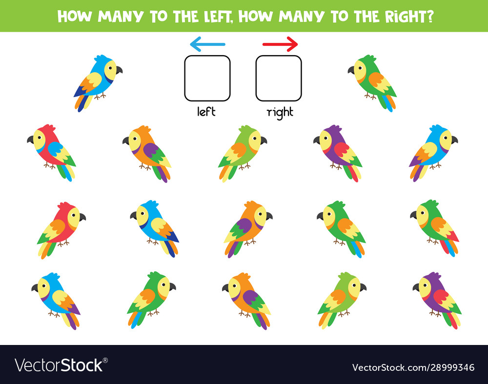 How many parrots go to right and left vector image How many parrots go to right and left