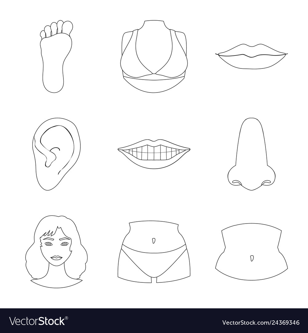 Isolated object of body and part icon set vector image Isolated object of body and part icon set