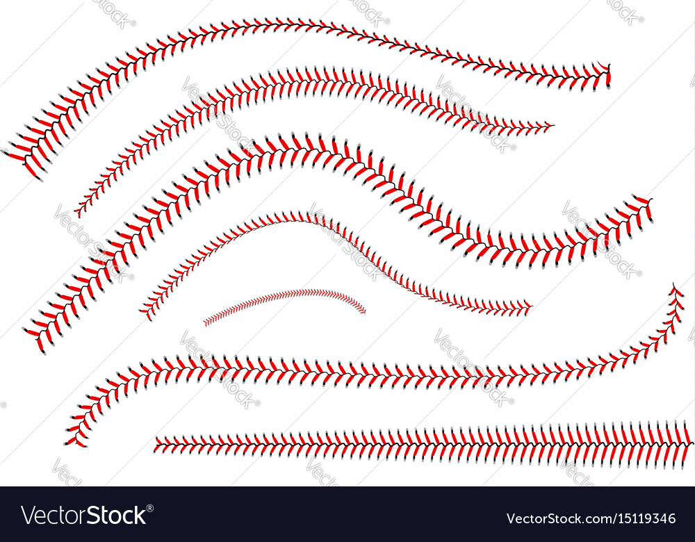 Lace from a baseball on a white background Vector Image