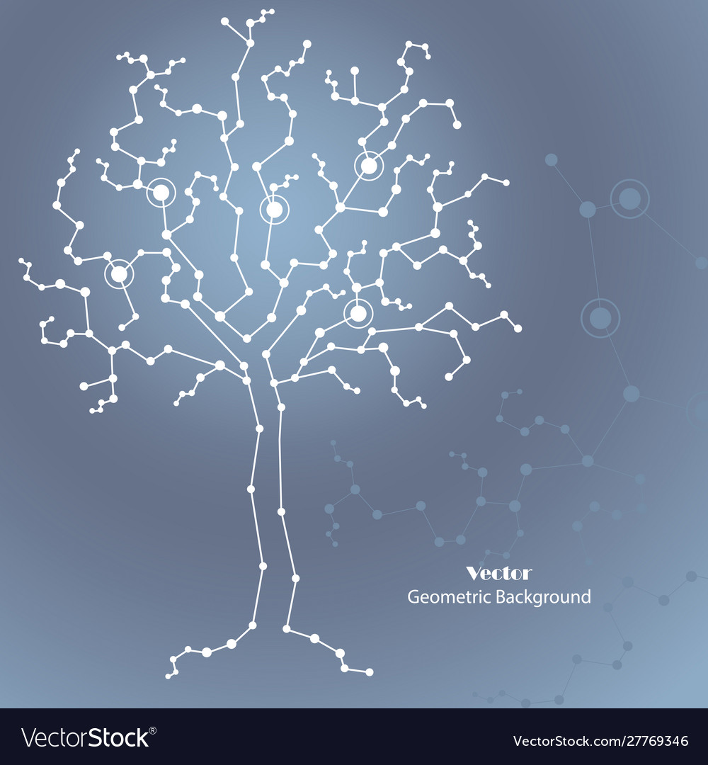 Science tree made connected lines and dots vector image Science tree made connected lines and dots
