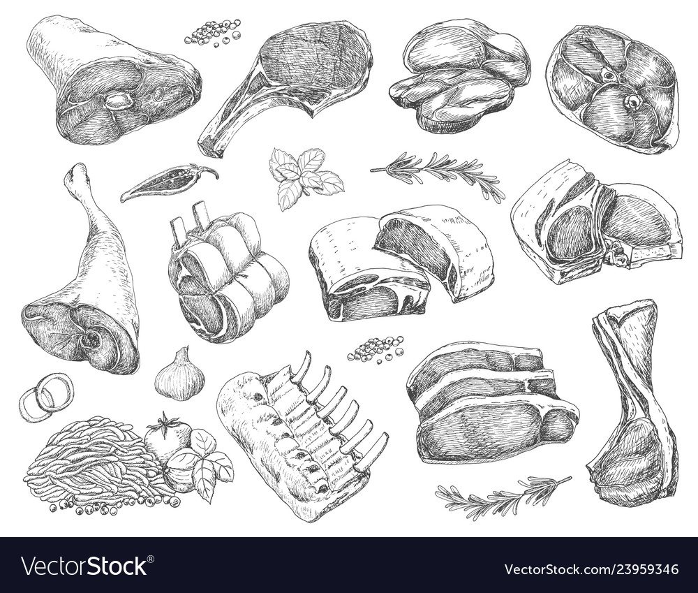 Set of different meats in sketch style vector image Set of different meats in sketch style