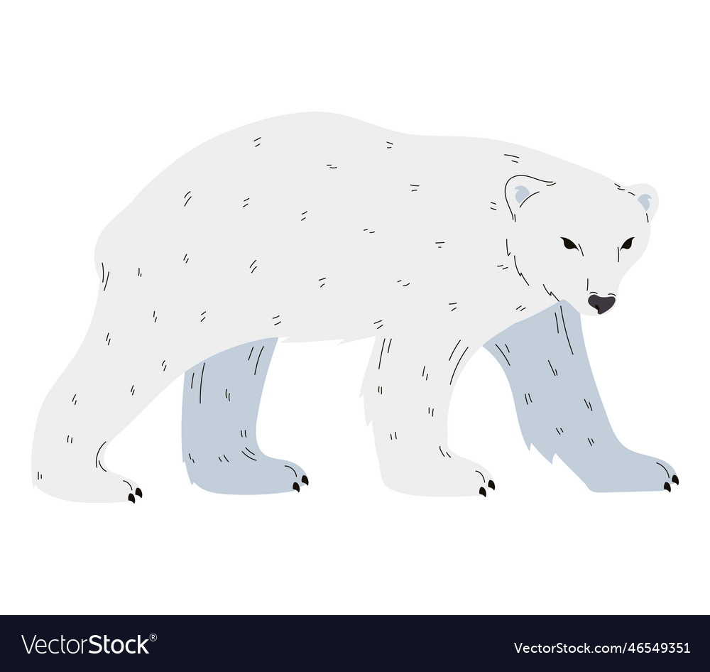 Cute arctic bear design