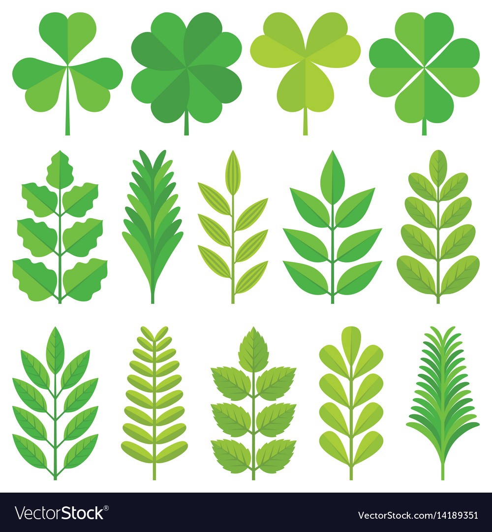 Leaf Icon Set - Diverse Green Leaves