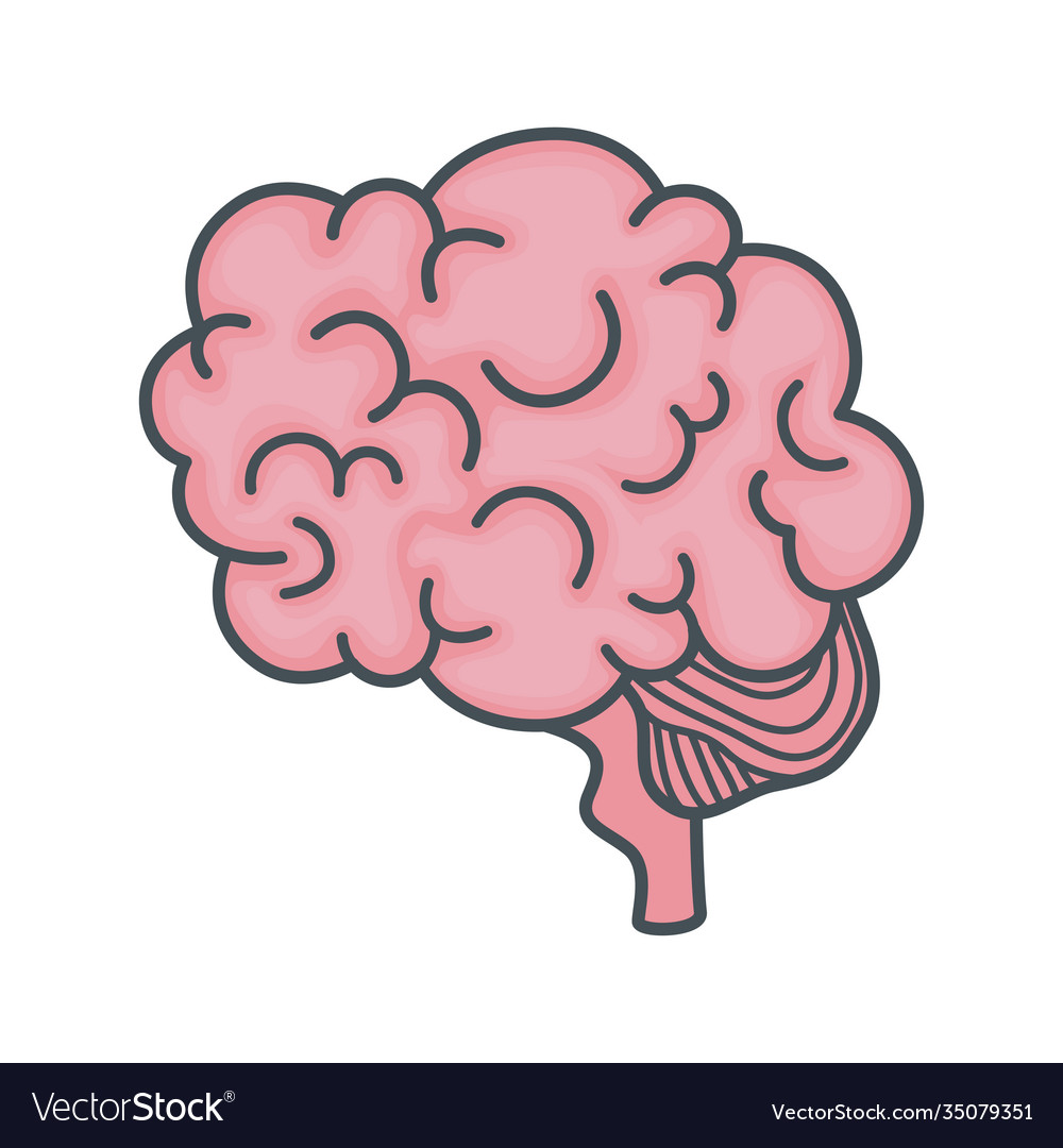 Mental health brain organ icon Royalty Free Vector Image