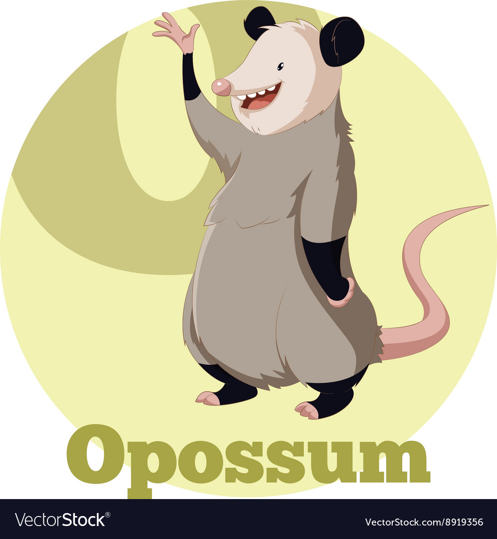 ABC Cartoon Opossum Royalty Free Vector Image - VectorStock