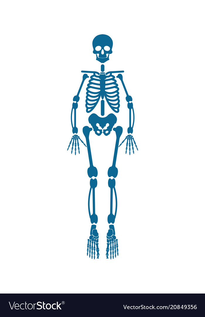 MOVE 2nd color SKELETON BLUE - フィギュア