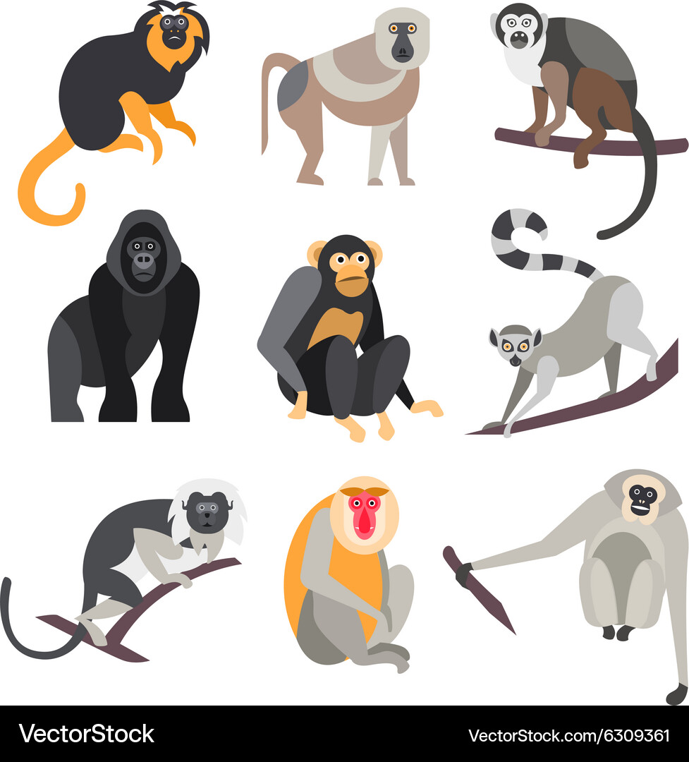 Diverse Primates Collection Royalty Free Vector Image