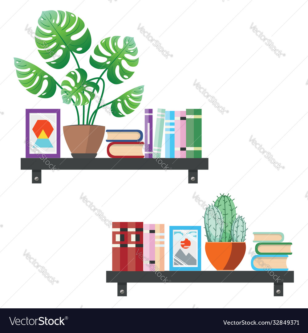Bookshelf with houseplants Royalty Free Vector Image