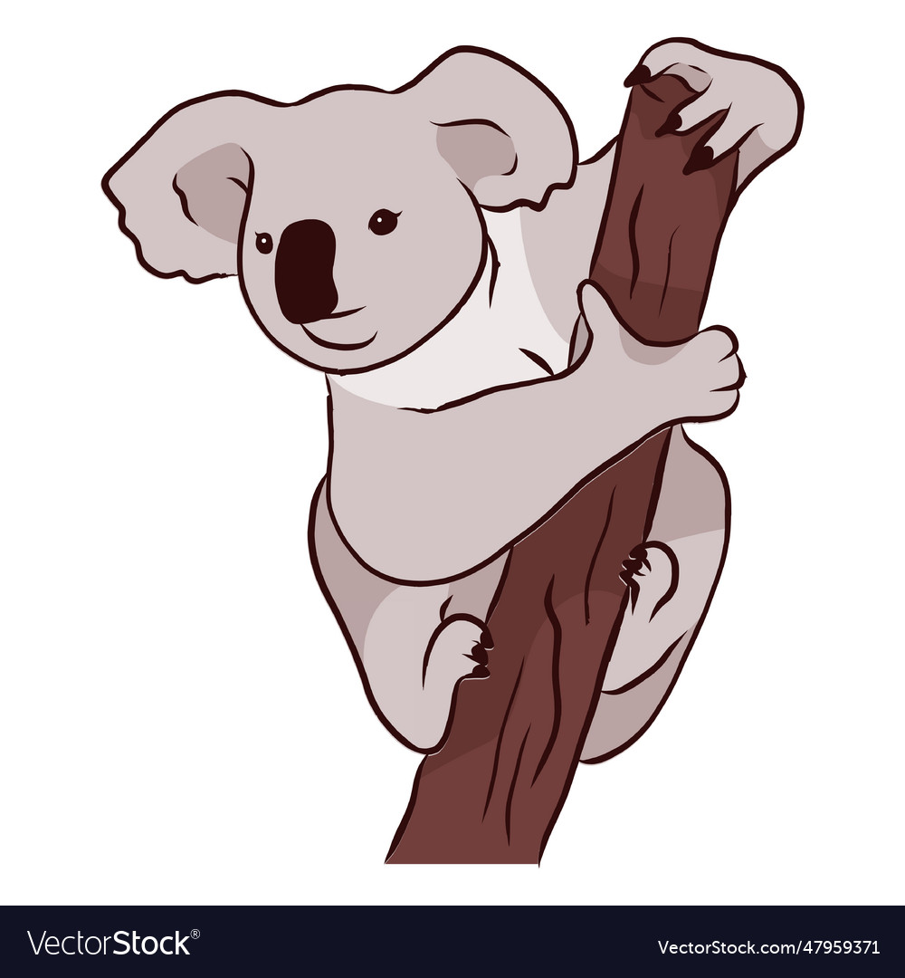 Branch ear koala leg nose Royalty Free Vector Image