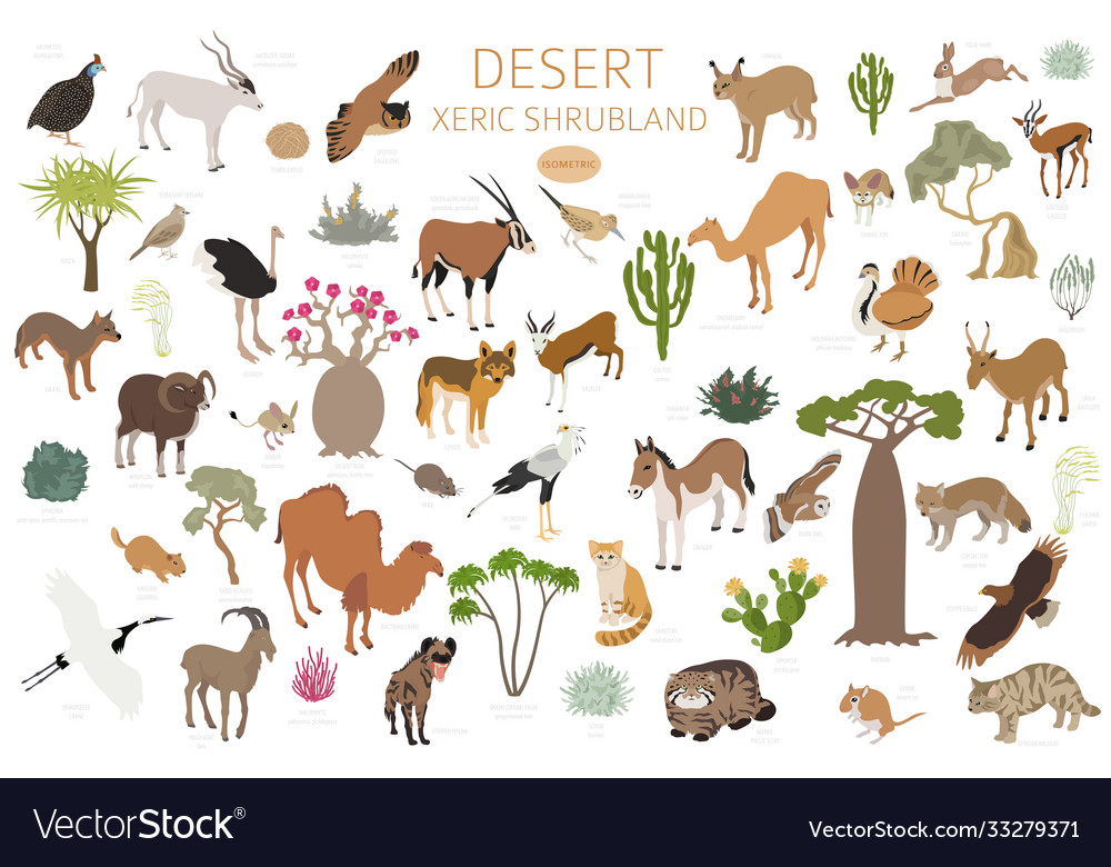 Desert biome xeric shrubland natural region Vector Image