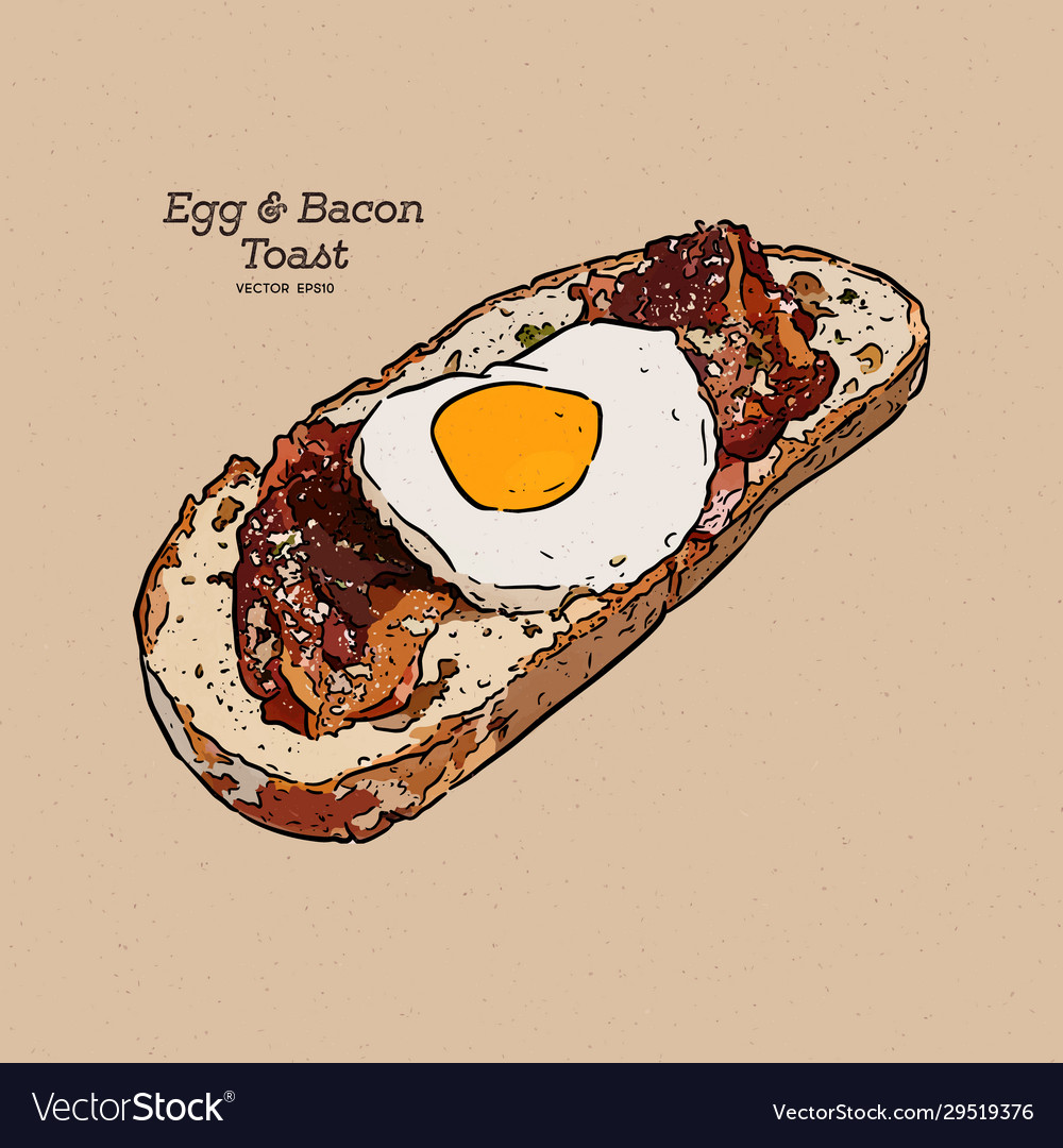 Egg and bacon toast hand draw sketch