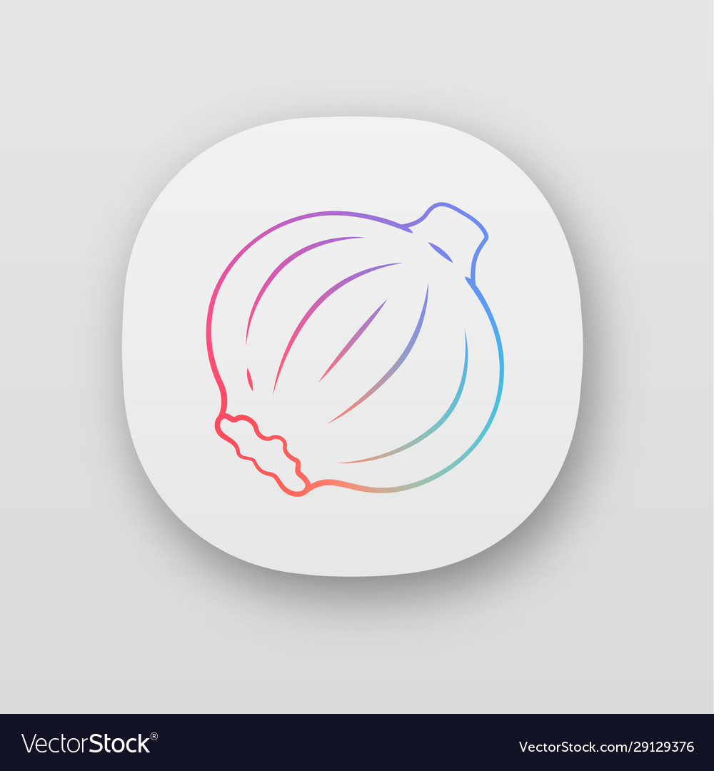 Zwiebel-App-Symbol