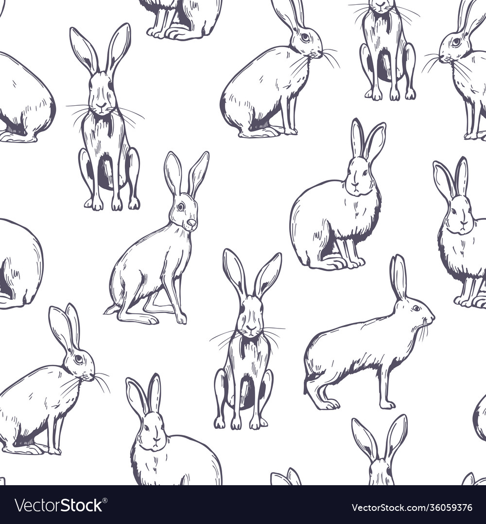 Pattern with hares Royalty Free Vector Image - VectorStock