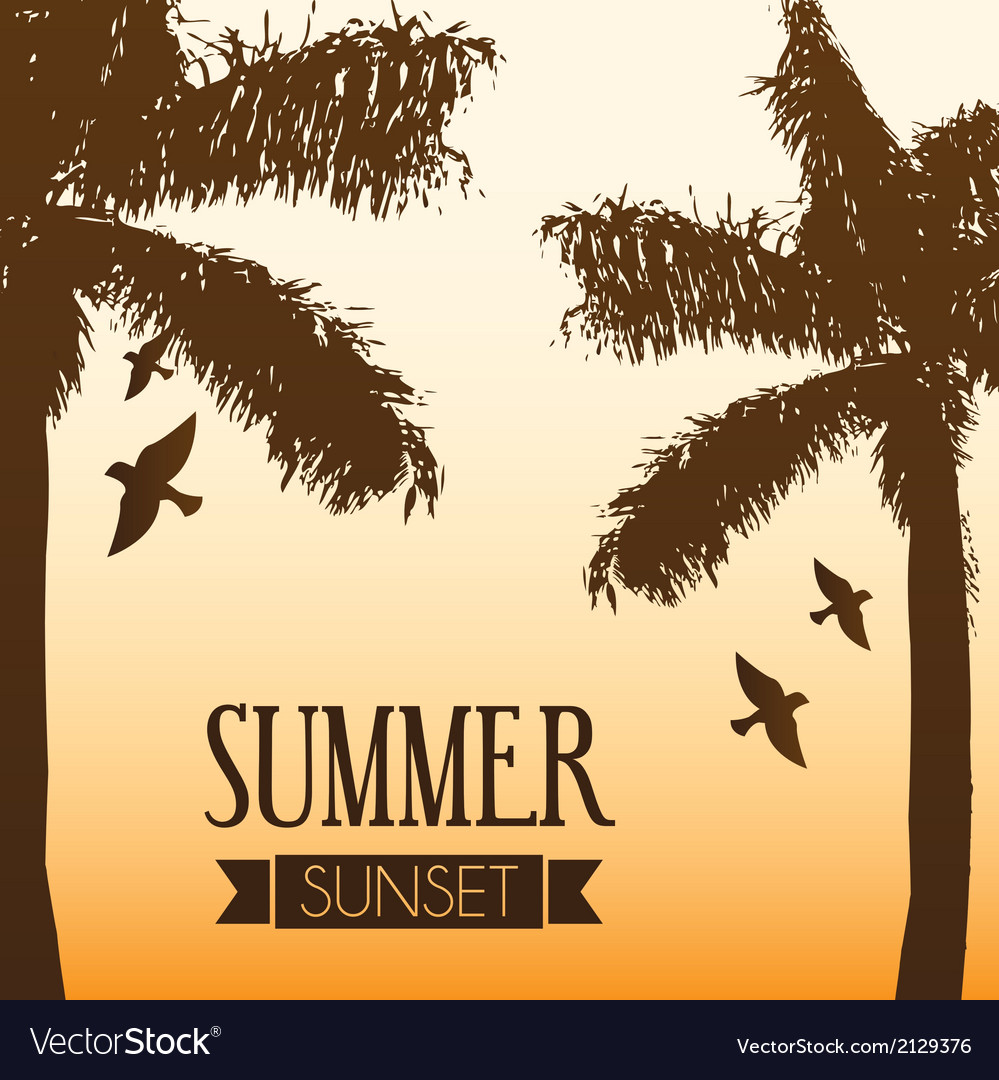 Summer design over sunset background