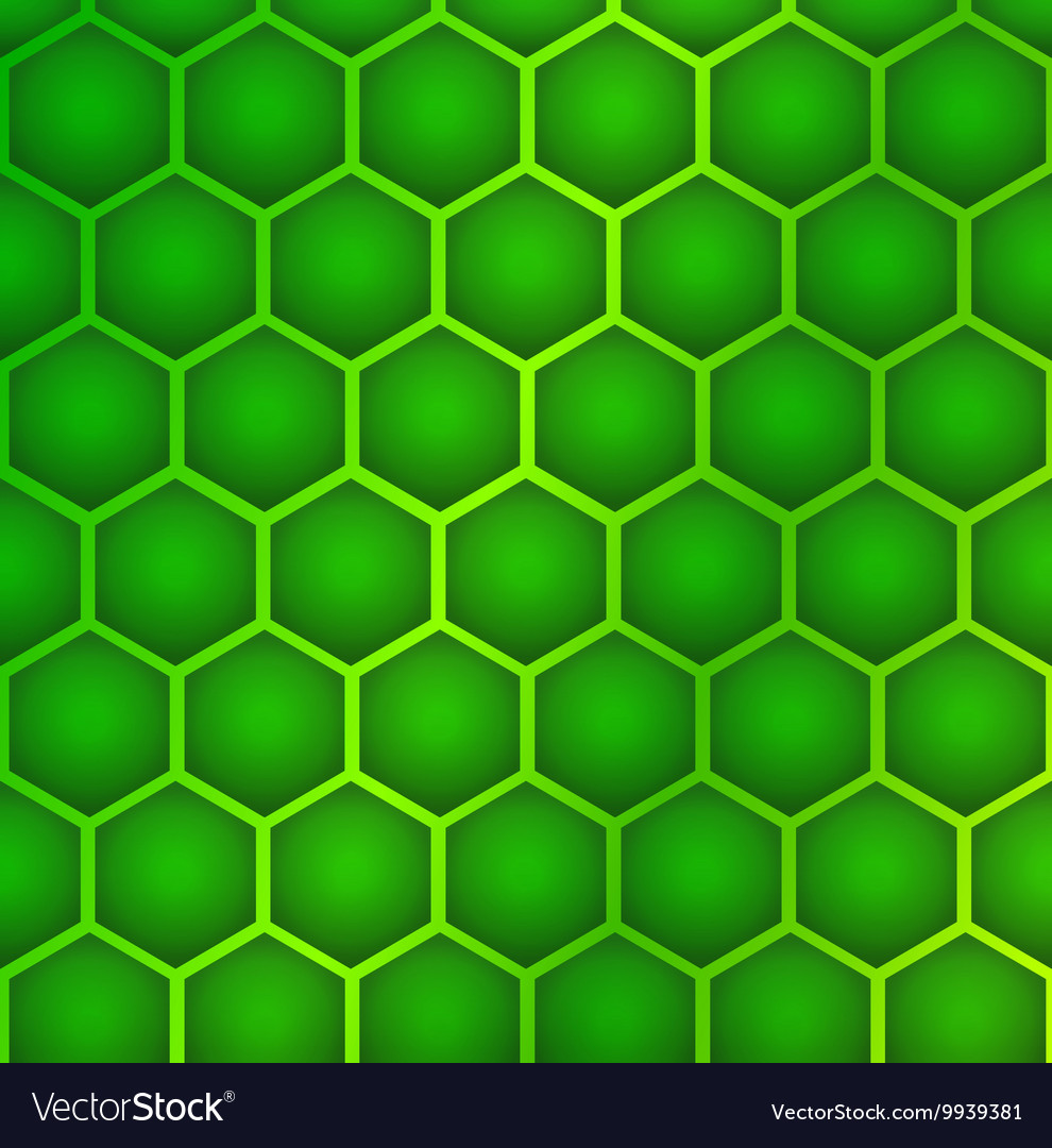 Hexagon cell background