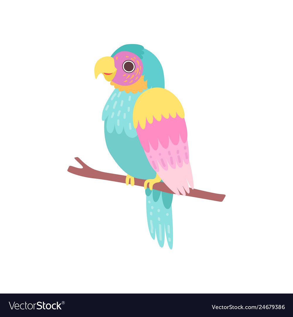 Beautiful tropical parrot sitting on perch