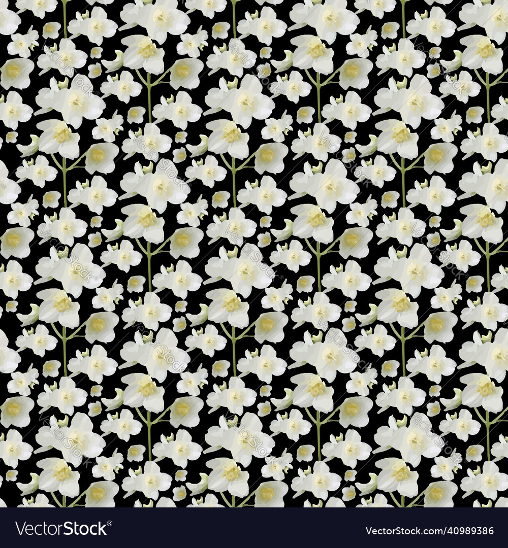 Jasmine flower branch Royalty Free Vector Image