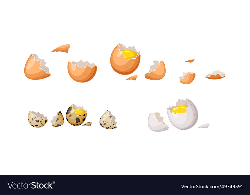 Broken eggs with shell color icon set on white vector image Broken eggs with shell color icon set on white