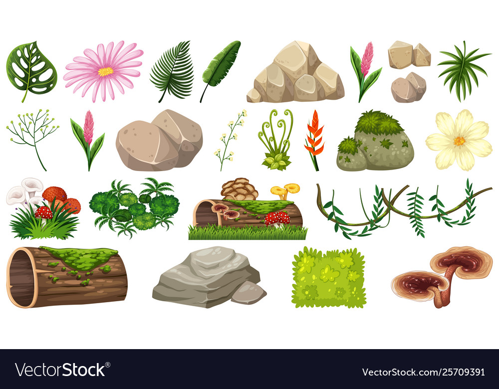 Nature Objects Collection