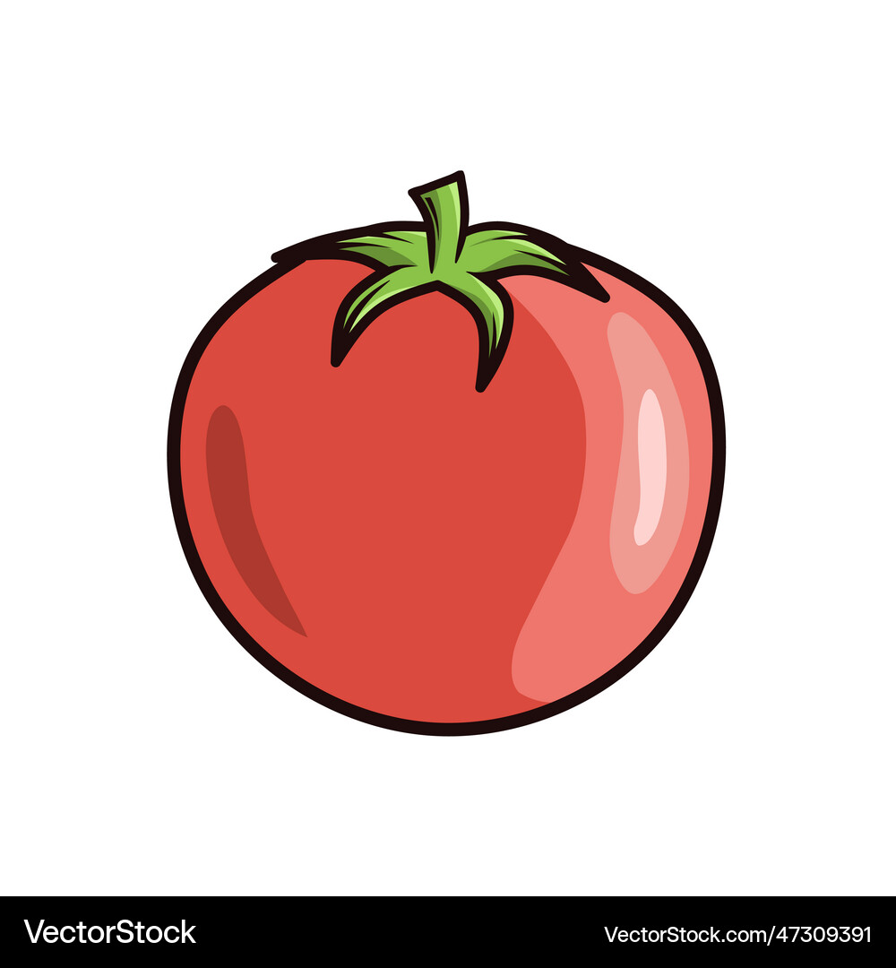 Red tomato Royalty Free Vector Image - VectorStock