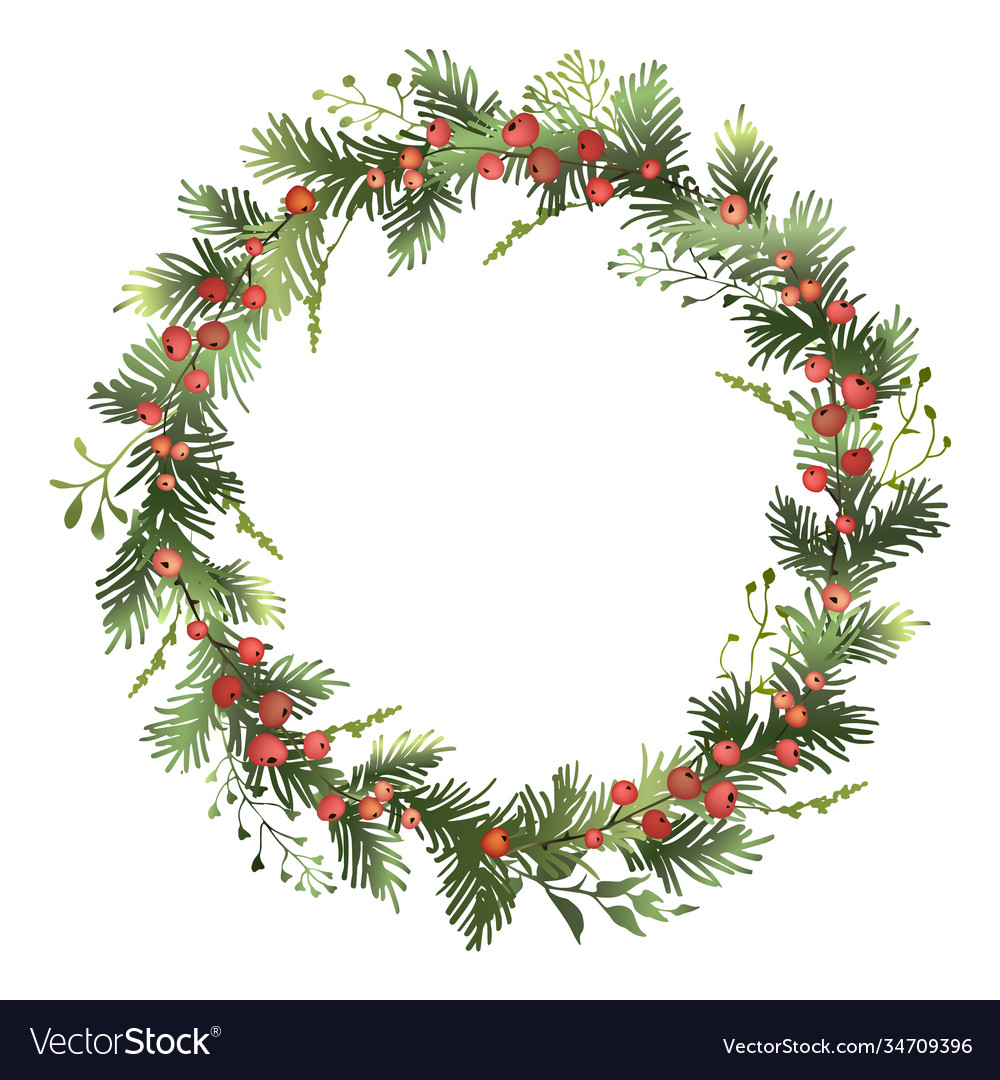 Christmas spruce wreath with red berries pine