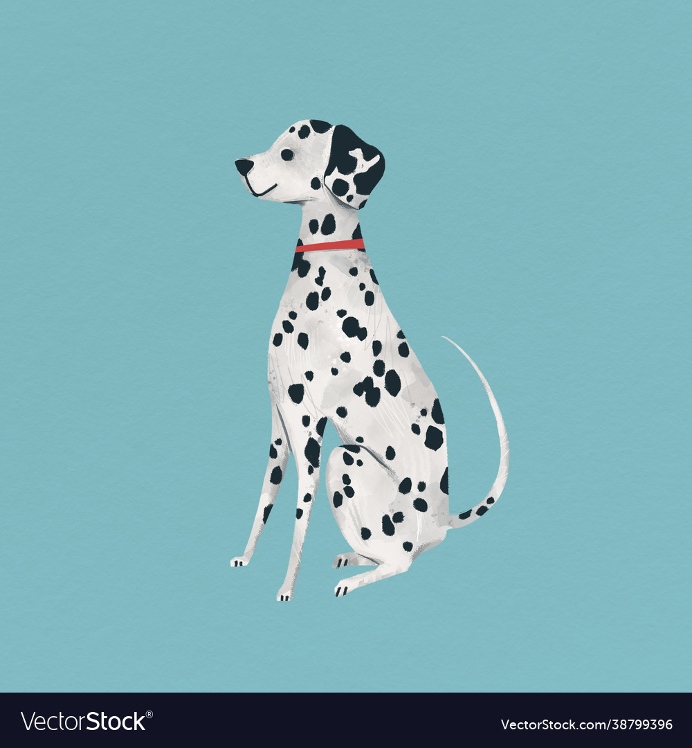 Dalmatian puppy on a turquoise background Vector Image