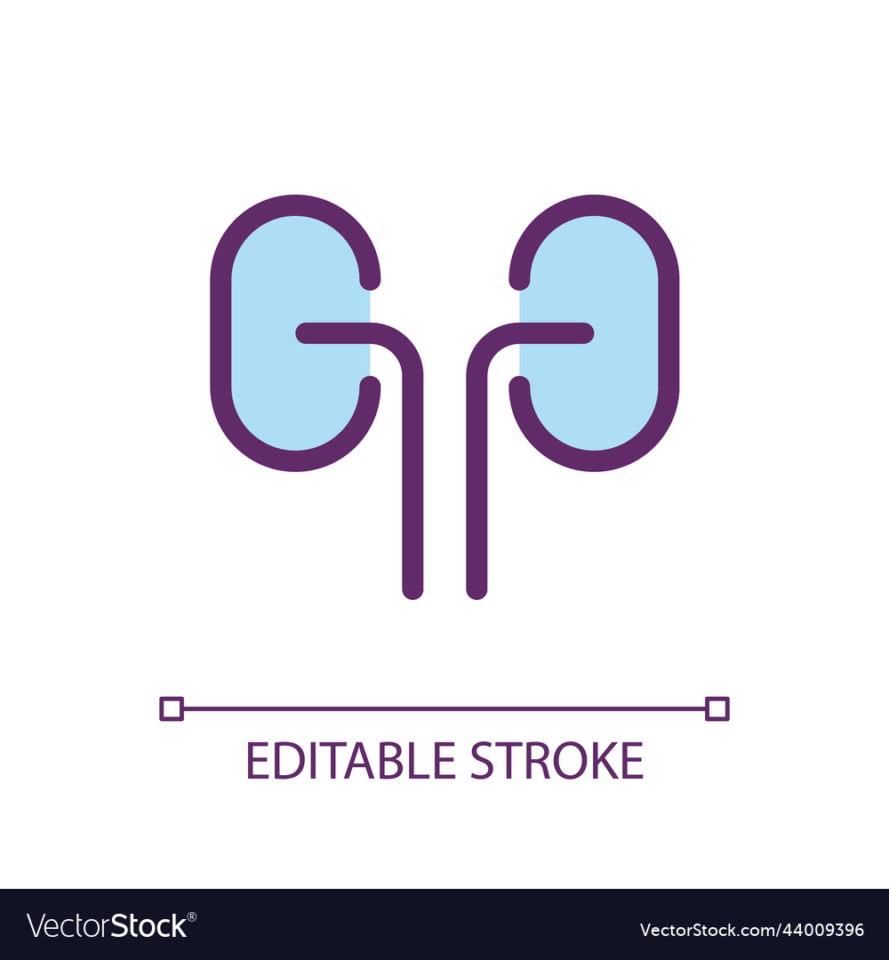 Kidneys pixel perfect rgb color ui icon