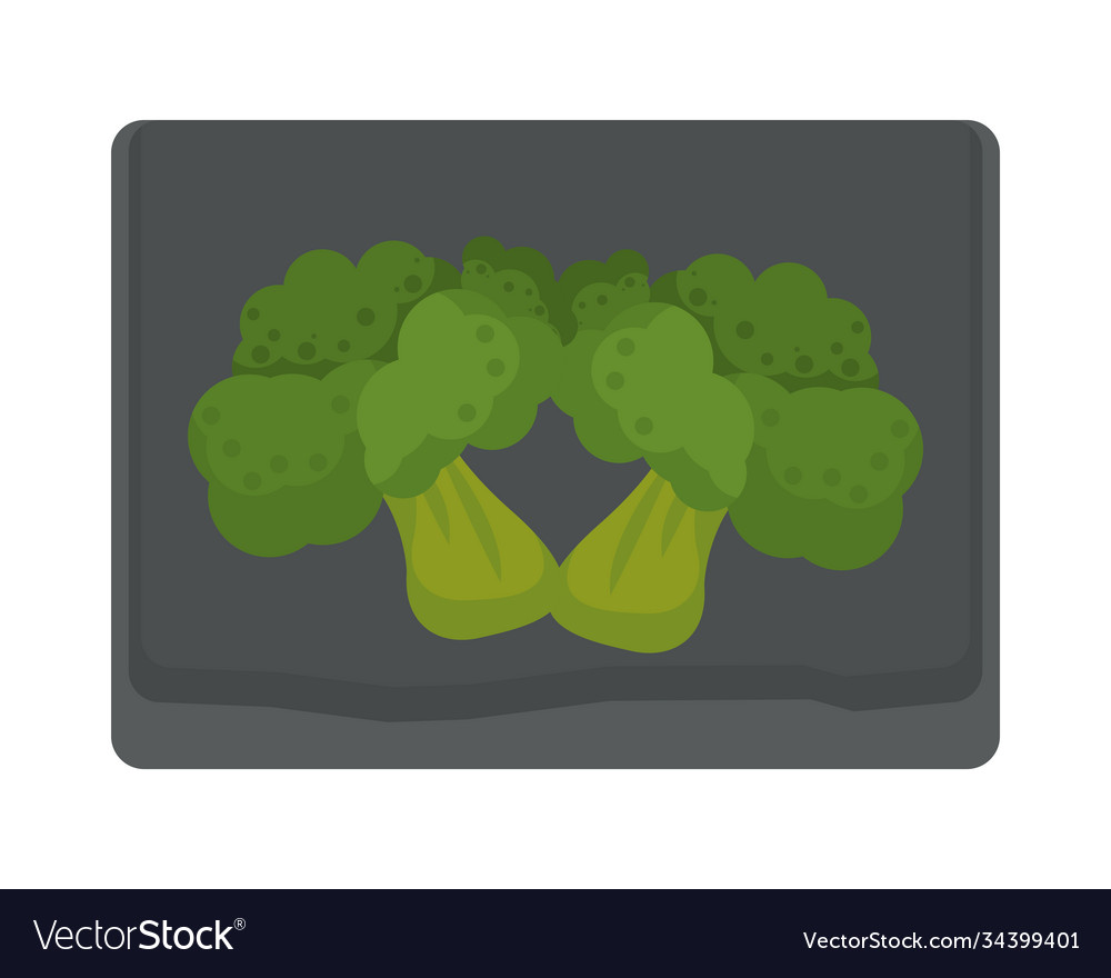 Broccoli fresh vegetables in wooden kitchen board