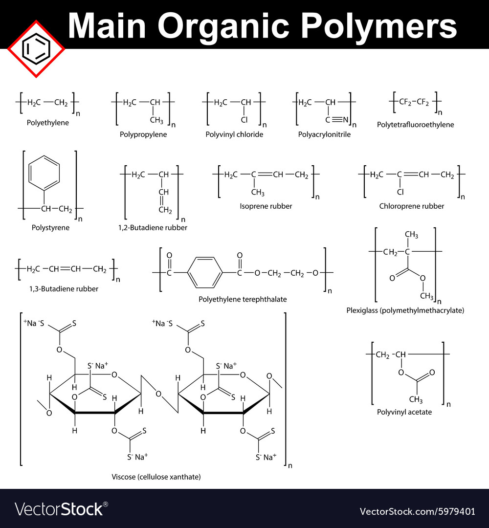 Main polymers Royalty Free Vector Image - VectorStock