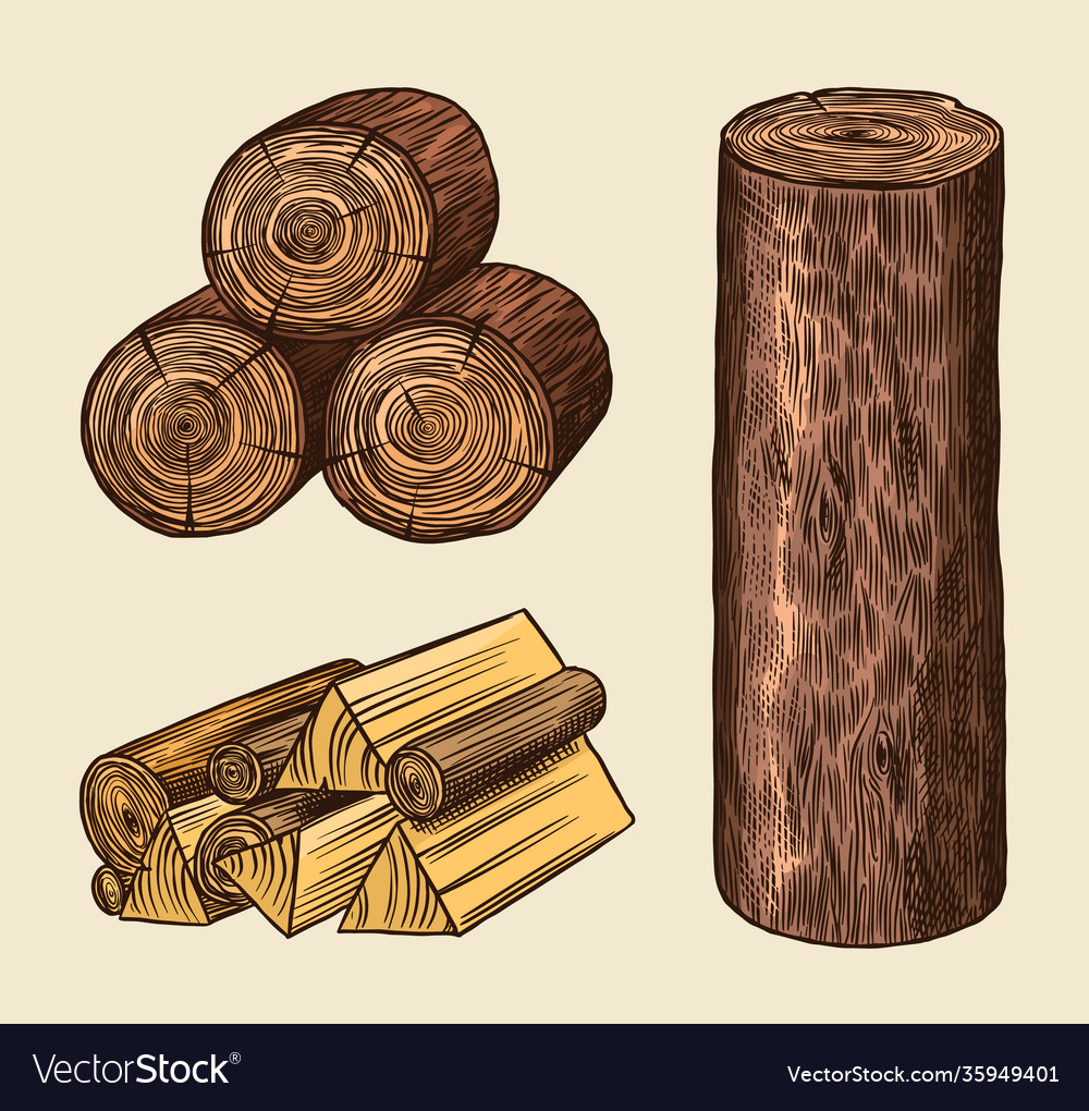 Wood set planks and logs lumber cuts Royalty Free Vector