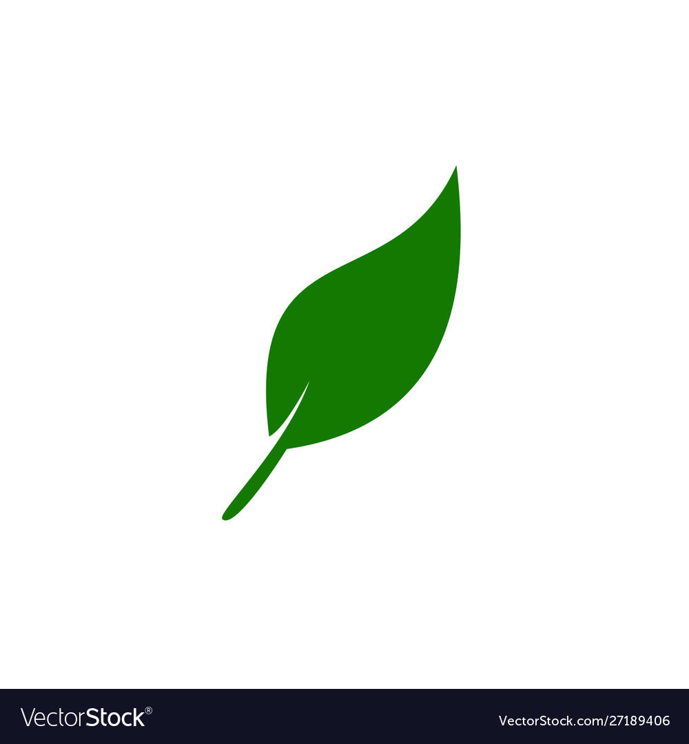 Leaf icons design leaves green concept isolated Vector Image