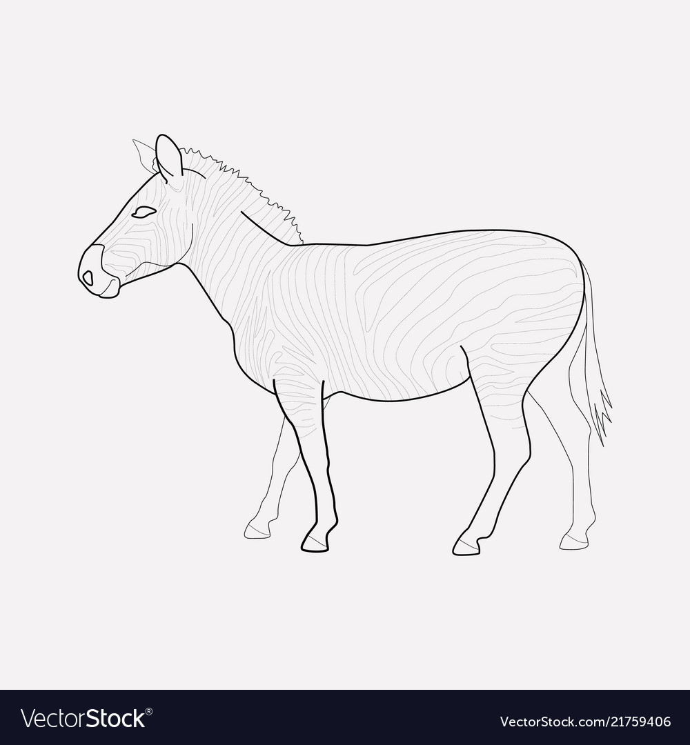 Zebra icon line element