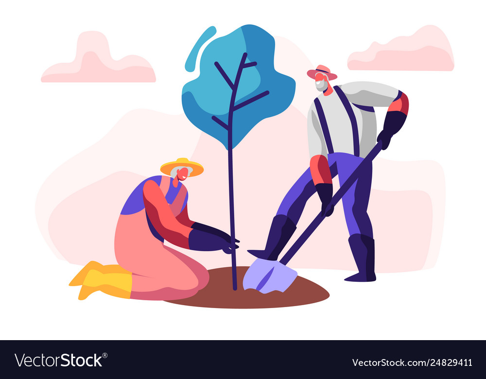 Couple male and female pensioners planting tree