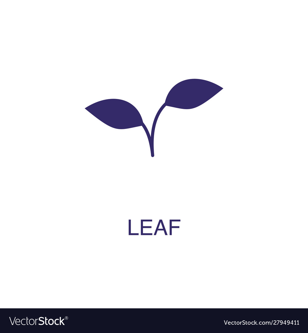 Leaf element in flat simple style on white