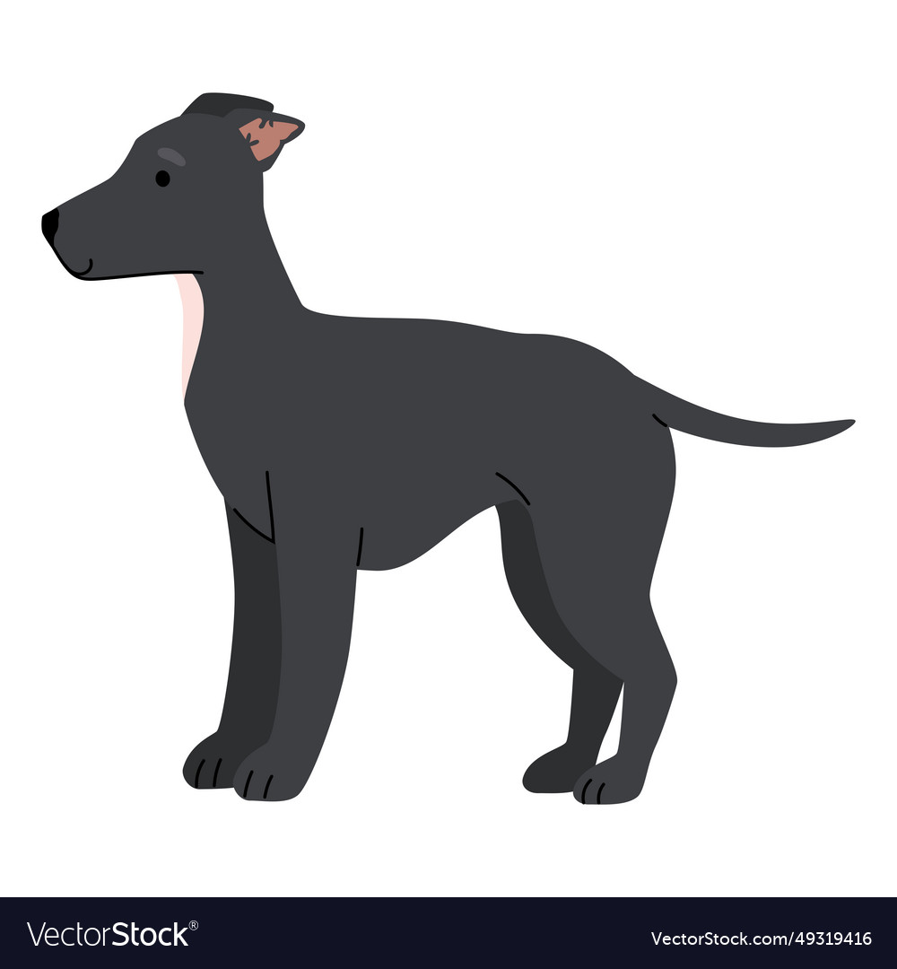 Dog side view Royalty Free Vector Image - VectorStock