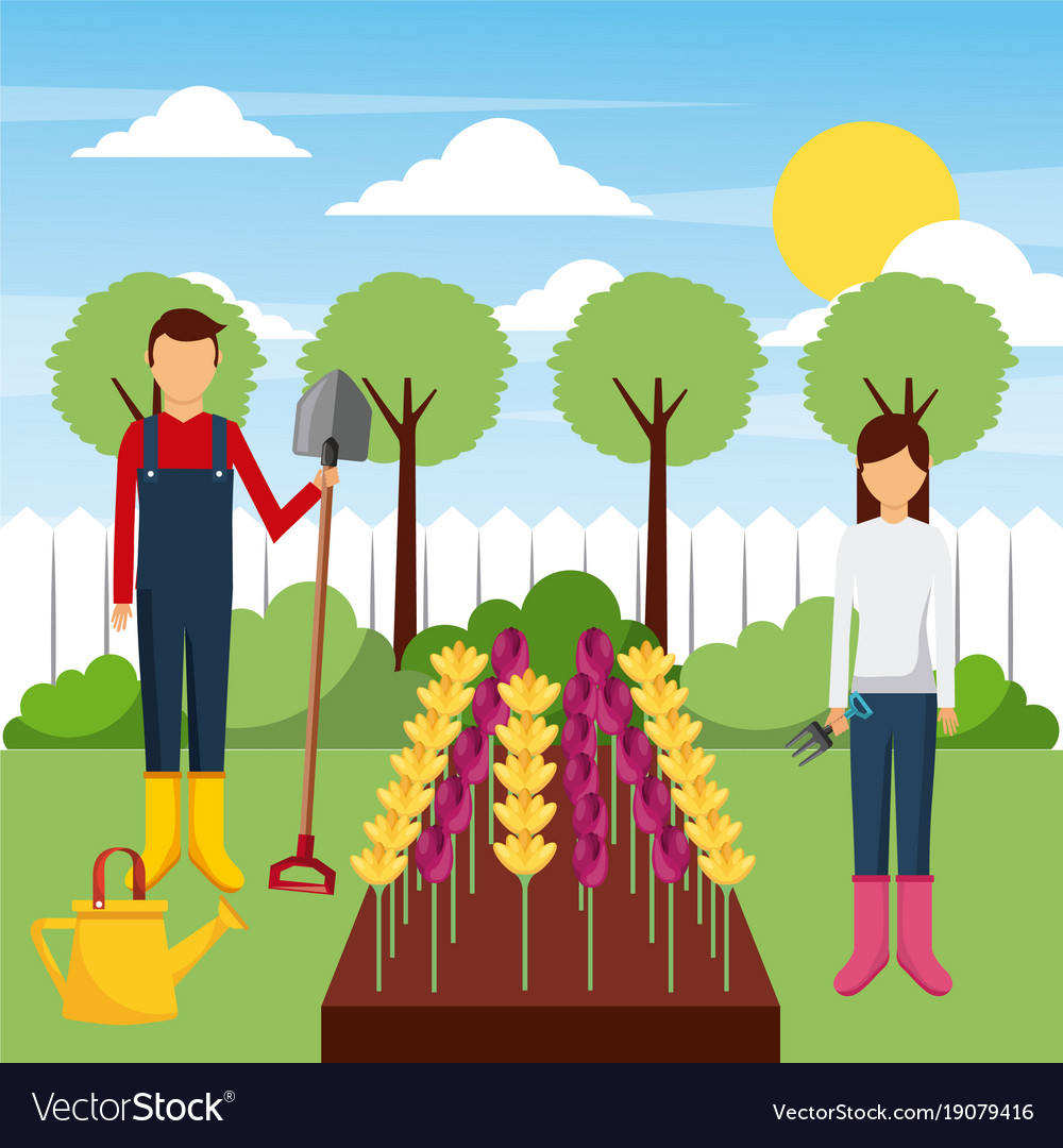 Gardeners working field with flowers tools tree Vector Image