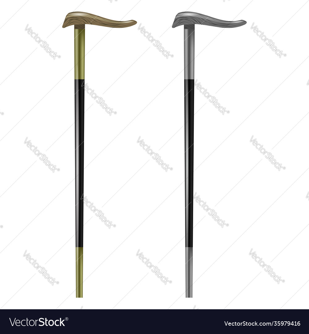 Walking stick icon set isolated on white