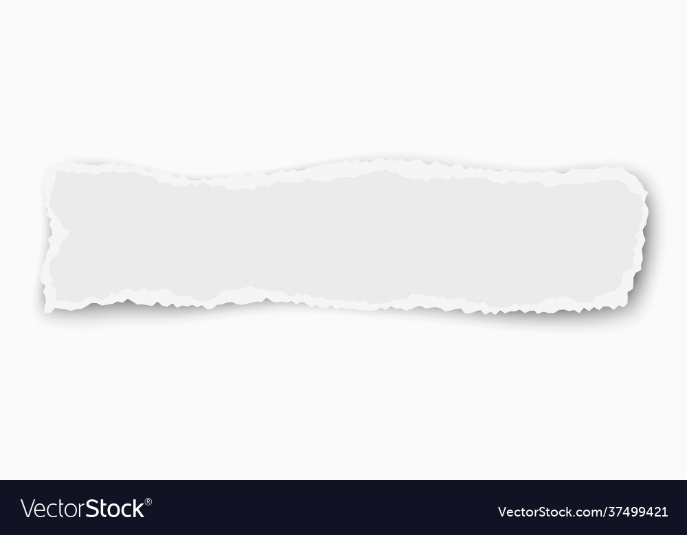 White Oblong Paper Tear With Soft Shadow Isolated Vector Image