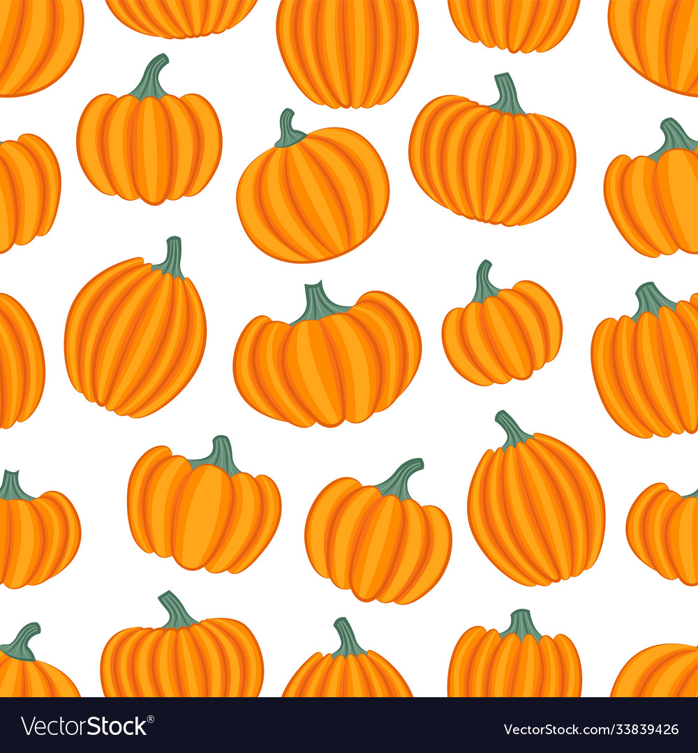 Bright orange pumpkins on white background Vector Image